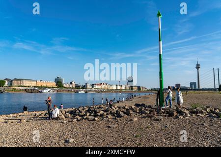 Reno vicino a Duesseldorf, acqua estremamente bassa, livello del Reno a 81 cm, tendenza a cadere, dopo una lunga siccità la riva sinistra del Reno cade asciutta, vicino Foto Stock