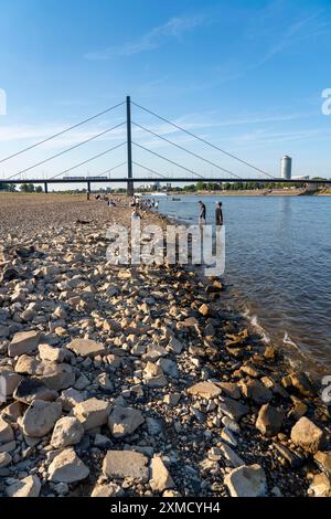 Reno vicino a Duesseldorf, acqua estremamente bassa, livello del Reno a 81 cm, tendenza a cadere, dopo una lunga siccità la riva sinistra del Reno cade asciutta, vicino Foto Stock