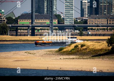 Reno a Duesseldorf, acque estremamente basse, livello del Reno a 47 cm, caduta, chiatta davanti allo skyline con il ponte Rheinkneibruecke, banchi di sabbia Foto Stock