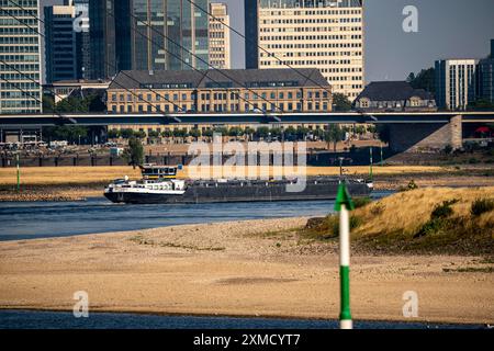 Reno a Duesseldorf, acque estremamente basse, livello del Reno a 47 cm, caduta, chiatta davanti allo skyline con il ponte Rheinkneibruecke, banchi di sabbia Foto Stock