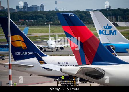 Aeroporto Schiphol di Amsterdam, aereo al terminal, cancelli D, check-in, grembiule, Amsterdam, Paesi Bassi Foto Stock