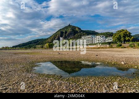 Il Reno in acque estremamente basse, vicino a Bad Honnef Rhoendorf, sotto i Drachenfels, l'isola di Nonnenwerth, le rive secche del Reno, a nord Foto Stock