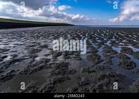 Il Mar Wadden, Frisia orientale, tra Bensersiel e Neuharlingersiel, con bassa marea, condizioni del fondale, bassa Sassonia, Germania Foto Stock