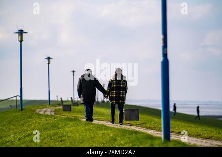 Diga del Mare del Nord, vicino a Neuharlingersiel, bassa Sassonia, Germania Foto Stock