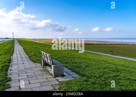 Diga del Mare del Nord, vicino a Neuharlingersiel, bassa Sassonia, Germania Foto Stock