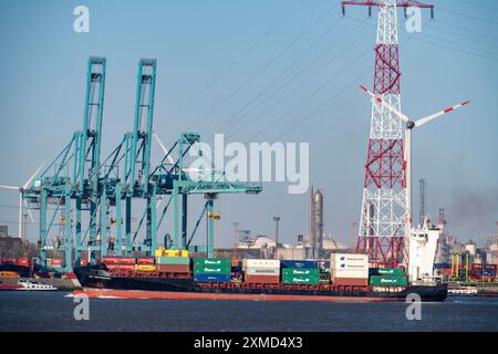 Il porto di Anversa, sulla Schelda, è il secondo porto marittimo più grande d'Europa, il Container Terminal lPSA Europa Terminal, Fiandre, Belgio Foto Stock