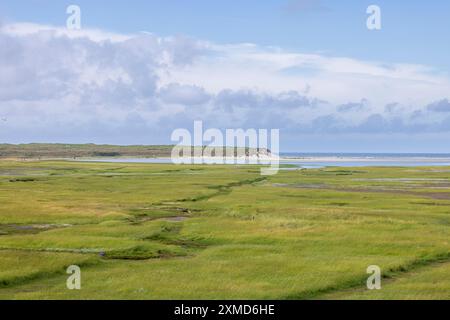 Paesaggio riserva naturale De Slufter a wadden isola di Texel nei Paesi Bassi Foto Stock