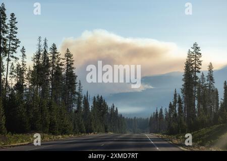 Una strada con una grande nuvola di fumo in lontananza da un incendio boschivo. Il cielo è blu e gli alberi sono verdi e c'è un forte fumo nell'aria. Foto Stock