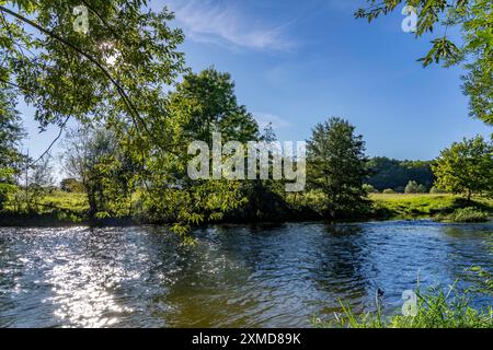 Le pianure alluvionali di Lippe nei pressi di Olfen, riserva naturale lungo il fiume, Renania settentrionale-Vestfalia, Germania Foto Stock