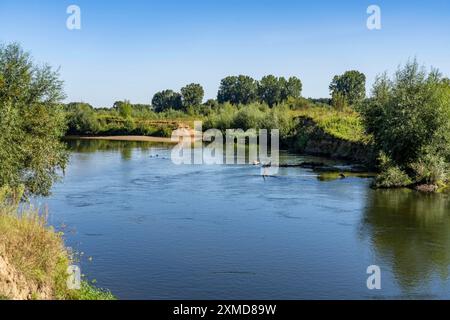 Le pianure alluvionali di Lippe nei pressi di Olfen, riserva naturale lungo il fiume, Renania settentrionale-Vestfalia, Germania Foto Stock