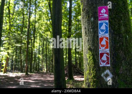 Sentiero escursionistico Hohe Mark Steig, cartello escursionistico, area forestale The Haard, nella zona settentrionale della Ruhr, confinante con il Muensterland, parte della natura di Hohe Mark Foto Stock