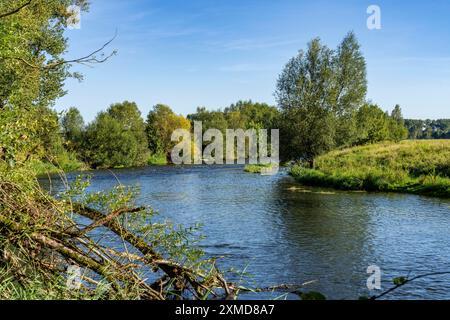 Le pianure alluvionali di Lippe nei pressi di Olfen, riserva naturale lungo il fiume, Renania settentrionale-Vestfalia, Germania Foto Stock