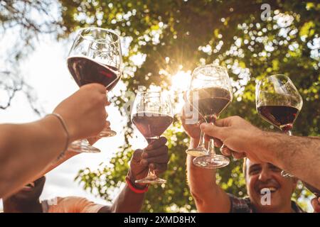 Un gruppo di amici che alleva bicchieri da vino contro alberi illuminati dal sole. Primo piano di brindare con vino rosso all'aperto, per celebrare, frien Foto Stock