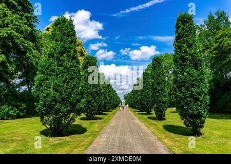 Il cimitero principale, a MH-Menden, a Muelheim an der Ruhr, Renania settentrionale-Vestfalia, Germania Foto Stock