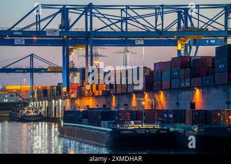 Bacino portuale, gru a cavalletto nel centro di movimentazione container, Trimodal Container Terminal, nel porto di Duisburg-Rheinhausen, nave da carico Foto Stock