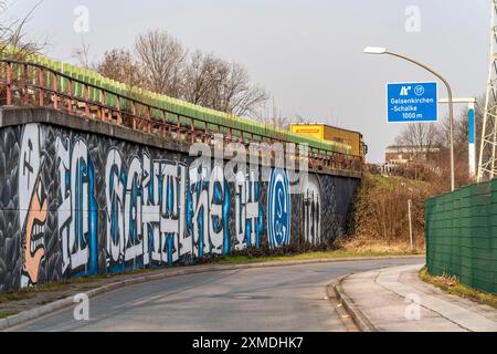 Murale di grande formato, graffiti, della scena dei fan di Schalke, sotto l'autostrada A42, uscita Gelsenkirchen-Schalke, Ruhrpott Romantik, Gelsenkirchen, Nord Foto Stock