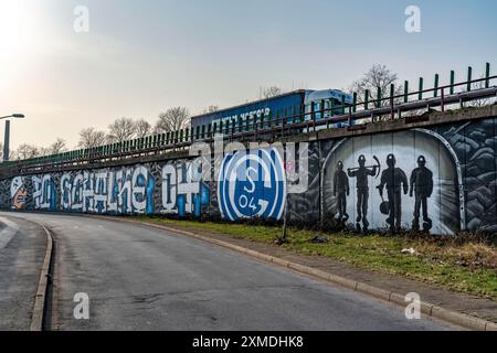 Murale di grande formato, graffiti, della scena dei fan di Schalke, sotto l'autostrada A42, uscita Gelsenkirchen-Schalke, Ruhrpott Romantik, Gelsenkirchen, Nord Foto Stock