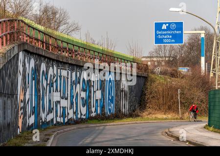 Murale di grande formato, graffiti, della scena dei fan di Schalke, sotto l'autostrada A42, uscita Gelsenkirchen-Schalke, Ruhrpott Romantik, Gelsenkirchen, Nord Foto Stock