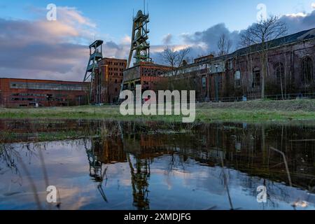 Ex miniera RAG Ewald, telai delle testate, albero 7, sinistra e albero 2, destra, a Herten, Renania settentrionale-Vestfalia, Germania Foto Stock