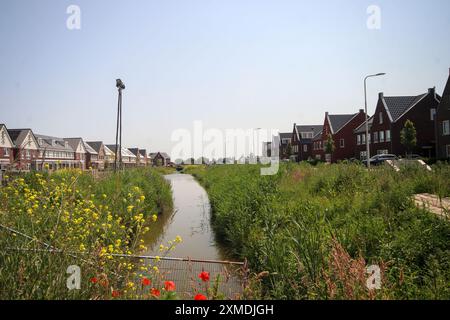 Costruzione di nuove case residenziali nel distretto Koningskwartier di Zevenhuizen nei paesi bassi Foto Stock