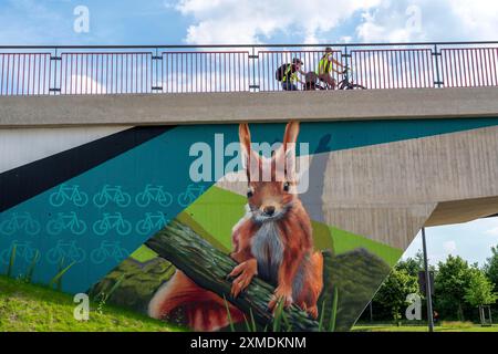 Nuovo ponte ciclabile e pedonale, sezione della RS1, Radschnellweg Ruhr, su Berthold-Beitz Boulevard, a Essen, Renania settentrionale-Vestfalia, Germania Foto Stock