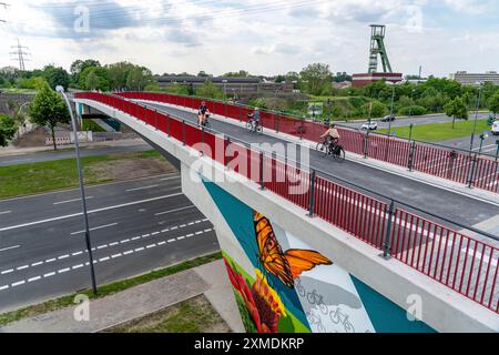 Nuovo ponte ciclabile e pedonale, sezione della RS1, autostrada ciclabile della Ruhr, sopra Berthold-Beitz Boulevard, sullo sfondo il cappio del primo Foto Stock