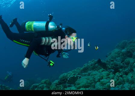 Tuffatore femminile e due anemonefish sulla barriera corallina, Sulawesi, Indonesia Foto Stock