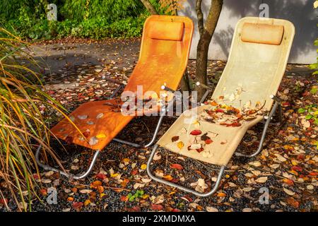 Giardini modellati a Grugapark, autunno, design orticolo di diversi stili di giardinaggio Essen, Renania settentrionale-Vestfalia, Germania Foto Stock