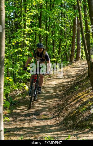 Brammentrail, percorso per mountain bike sulla punta di Schurenbach, a Essen, Renania settentrionale-Vestfalia, Germania Foto Stock