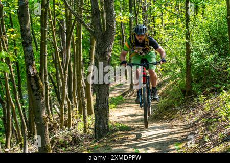 Brammentrail, percorso per mountain bike sulla punta di Schurenbach, a Essen, Renania settentrionale-Vestfalia, Germania Foto Stock