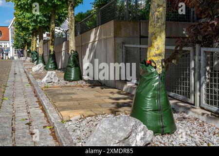 Sistema di irrigazione Treegator, per un'irrigazione mirata degli alberi in condizioni secche, sacchi d'acqua che forniscono acqua agli alberi in 5-9 ore, cibo Foto Stock