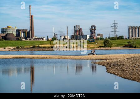 Basso livello dell'acqua sul Reno, le rive si seccano, le rive del fiume, le navi possono navigare solo con carichi e velocità ridotti, ThyssenKrupp Steel Foto Stock