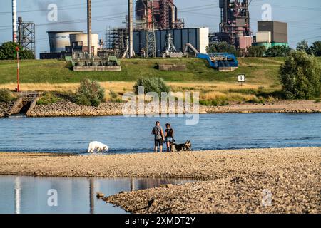 Basso livello dell'acqua sul Reno, le rive si seccano, le rive del fiume, le navi possono navigare solo con carichi e velocità ridotti, ThyssenKrupp Steel Foto Stock