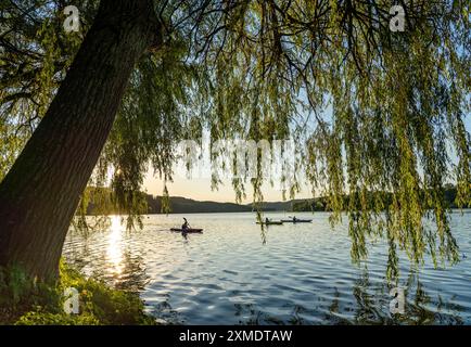 Lago Baldeney, kayak, serata estiva sulla costa orientale, Essen, Renania settentrionale-Vestfalia, Germania Foto Stock