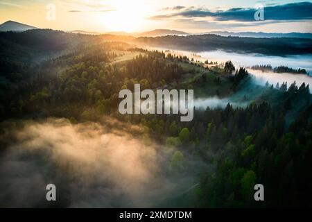 Vista aerea dell'alba mozzafiato su un paesaggio nebbioso con colline ondulate e campi verdeggianti. La luce soffusa penetra nella nebbia, proiettando ombre lunghe e illuminando gli alberi, creando una scena magica. Foto Stock