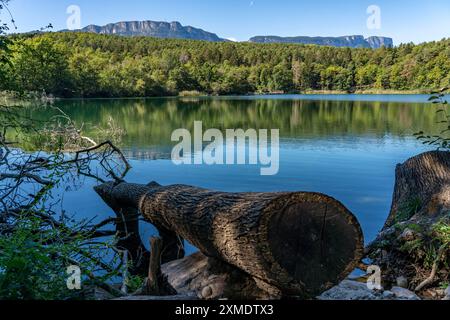 I laghi Montiggler, sulla strada del vino altoatesino, biotopi e area ricreativa locale, il piccolo lago Montiggler, vicino al villaggio di Caldaro Foto Stock