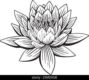 Rosidy Detailed Floral Lineart 16 Illustrazione Vettoriale
