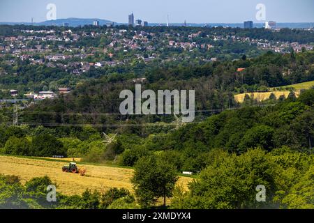 Lo skyline di Essen, i grattacieli nel centro della città, la vista a ovest, sul quartiere di Heisingen, da Velbert, contadino che gira il fieno appena tagliato Foto Stock