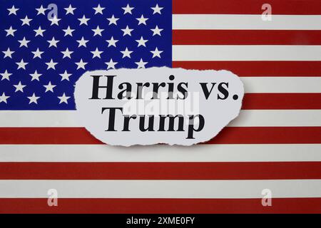 Amerikanische Flagge mit Schriftzug Harris vs. Trump amerikanische Flagge mit Schriftzug Harris vs. Trump, 27.07.2024, Borkwalde, Brandenburg, Auf einer Flagge der USA befindet sich der Schriftzug Harris vs. Trump. *** Bandiera americana con scritta Harris vs Trump bandiera americana con scritta Harris vs Trump, 27 07 2024, Borkwalde, Brandeburgo, su una bandiera degli Stati Uniti è la scritta Harris vs Trump Foto Stock