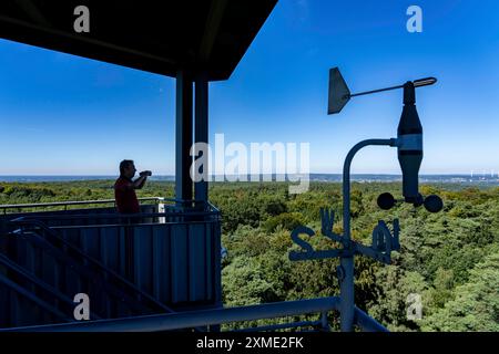 Torre di guardia antincendio sul Rennberg, vicino a Flaesheim, Haltern am SEE, nell'area della foresta di Haard, una delle 3 torri di guardia antincendio della regione, presidiata da Foto Stock