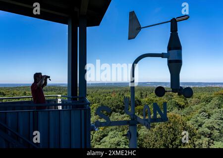 Torre di guardia antincendio sul Rennberg, vicino a Flaesheim, Haltern am SEE, nell'area della foresta di Haard, una delle 3 torri di guardia antincendio della regione, presidiata da Foto Stock