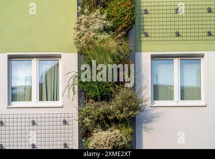 La facciata è ricoperta di verde su blocchi di appartamenti, in Gladbecker Strasse, B224, per filtrare gli ossidi di azoto e le particelle di polvere fine dall'aria, arrampicandosi sulle viti Foto Stock