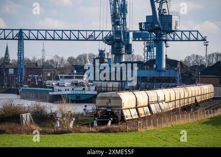 Il porto DI NIAG Rhine a Rheinberg-Orsoy, scarico di navi da carico con carbone importato, quindi carico su vagoni merci ferroviari, porto trimodale, nord Foto Stock