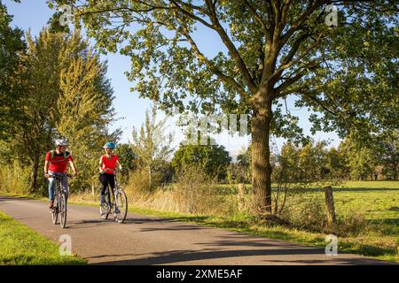 Ciclista, tour in bicicletta nella riserva naturale di Dingdener Heide, brughiera e brughiera, a nord del villaggio di Dingden, parte di Hamminkeln Foto Stock