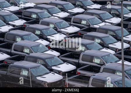 Pick-up Ford FX4 in magazzino, nel porto d'oltremare di Bremerhaven, dopo l'importazione dagli Stati Uniti in Germania, bassa Sassonia, Germania Foto Stock