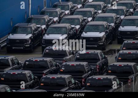 Pick-up Ford FX4 in magazzino, nel porto d'oltremare di Bremerhaven, dopo l'importazione dagli Stati Uniti in Germania, bassa Sassonia, Germania Foto Stock