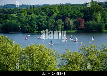 Barche a vela sul lago Baldeney di Essen, Renania settentrionale-Vestfalia, Germania Foto Stock