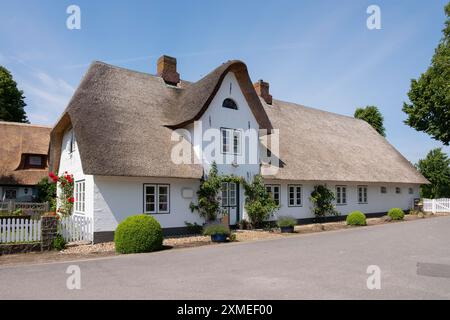 Casa frisone, casa con tetto di paglia, Nieblum, Foehr, isola del Mare del Nord, Frisia settentrionale, Schleswig-Holstein, Germania Foto Stock