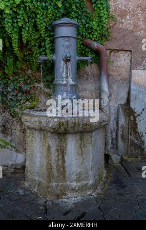 Fontana pubblica, Nasone (naso grande) con tre rubinetti a testa di drago in via di San Teodoro, Roma, Italia Foto Stock