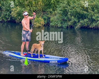 A281, Guildford. 27 luglio 2024. Un bel pomeriggio caldo e soleggiato per le contee di Home, mentre un'alta pressione ha preso piede. Paddleboarder godendosi il tempo fuori dal Weyside Pub a Guildford nel Surrey. Crediti: james jagger/Alamy Live News Foto Stock